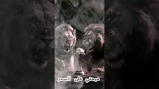 Mimti 3ala Samar  | ميمتي على السمر  (Cover) | 1950s Style