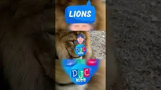DJC Kid's ROARsome Rendezvous: 5 Mind-Blowing Facts About Lions! 🦁🌟 | Kids' Safari Spectacle!