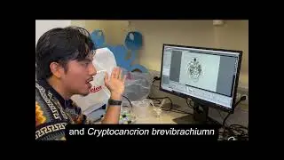 Jose Meneses - Graduate Student Research Pt. 5