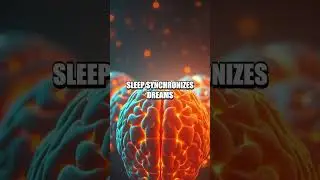 Glimmers in the Gray Five Hidden Brain Facts