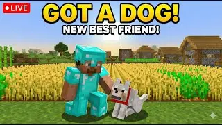 I finally got a DOG! + Big Village Expansion 🐶🏡