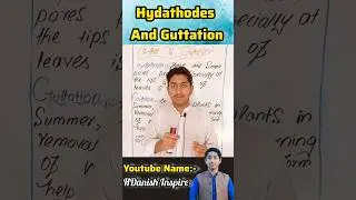 Guttation & Hydathodes | Easy Urdu Explanation | Class 10 Biology KPK | HDanish Inspire