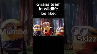 Grians team in wildlife isn&rsquo;t the best #shorts #wildlife #lifeseries #grian #skizzleman #mumbojumbo