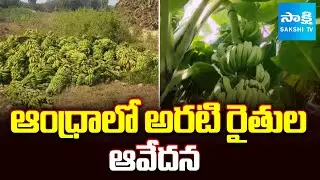 అరటి  రైతు ఆక్రందన : Anantapur Banana Farmers in Distress Over No Support Price || @SakshiTV