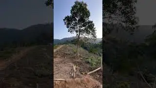 Where the sky is wide and the heart feels light🌿🫶 #nature #baghty #nagaland #healing #love