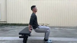 Assisted Tricep Dip Drop Catches