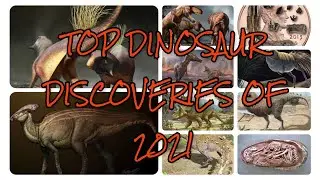 TOP DINOSAUR DISCOVERIES IN 2021