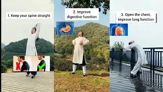 Improve digestive function | improve lung function | | Tai chi workout | Martial arts | WudangZidong