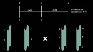 Reverse Mapping