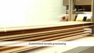 DSB Twinhead | Fully automated line | WINTERSTEIGER