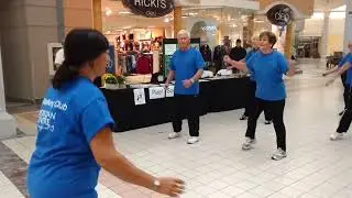 Sheridan Mall Walks in Mississauga Canada 2015