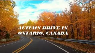 🍂🍂 Autumn drive in Ontario, Canada | Fall colors in 2022 🍂🍂