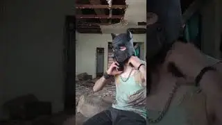 Stray Pup Play ... San Antonio ep3