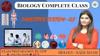 04 Digestive System 2/Biology By Kajal Ma&rsquo;am/Exam Preparation by GDP/SSCGD /Railway/Group D/CGL
