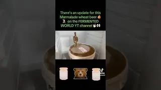 #Marmalade #wheatbeer #update #marmaladesandwich #homebrew #beer #fail #oh #fermentedworld #ytshorts