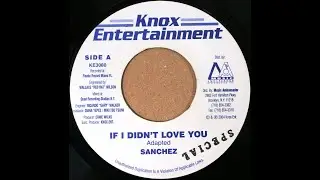 Sanchez - If I Didn't Love You (2004 age40)