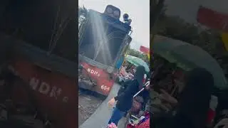 Darjeeling toy train song #music #bollywood #love #pug #speakpug #comedyfilms
