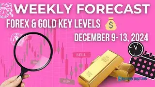 Weekly Forecast Forex & Gold 9-13 Dec 2024 | Key Insights with TN System