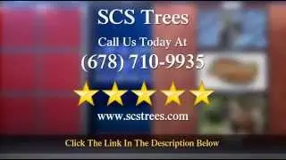 Marietta Tree Service Company - SCS Trees Acworth Remarkable 5 Star Review by Lita -.
