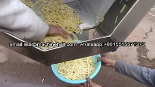 Industrial French Fries Flavoring Machine|Fried Peanut Seasoning Machine Video