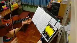 The Sims 3 - Maps and Simbols OST (Violin Cover)