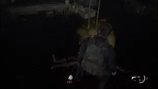 The Last of Us 2, Rat King Boss Fight, Survivor Difficulty, No Damage