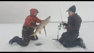 Catching BIG Pike! 7 Species Slam Tournament EP 1