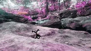 Bonita - Cre8ta Visuals