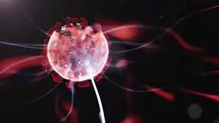 Universe of Numbers