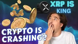 Regulatory Clarity Gives XRP an Edge
