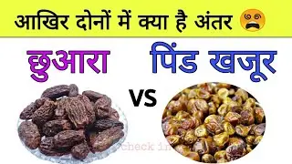 पिंड खजूर और छुआरा कैसे बनता है | Pind Khajur making Process | Chuara making Process #Khajur #Chuara
