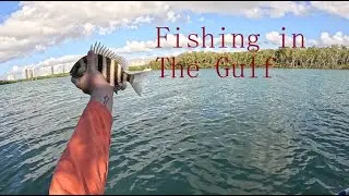 Fishing for GIANT Sheepshead on the Gulf!