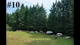 Extra Drone Footage #10: Pacific Northwest - PNW - DJI Mavic 2 Pro - AMAZING BEAUTIFUL FOREST