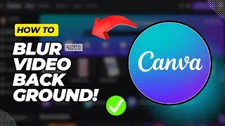 How To Blur the Background of Video In Canva (Quick & Easy)