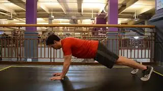 High Plank Alternate Arm Lifts