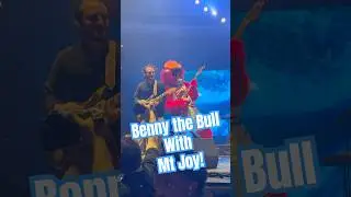 Mt Joy brings out Benny the Bull at the United Center!  #mtjoy