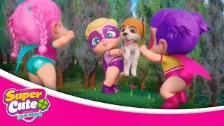 EP11 The Best Friend  🐶  Super Cute Little Babies ☘🍼