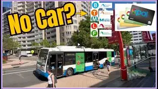 Sydney Trains, Buses & Ferries | Best Way to Travel Around the City
