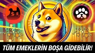 LEARN BEFORE ALL YOUR EFFORTS ARE WASTED! (Paws Airdrop Money Dogs Airdrop Do Not Airdrop Crypto)