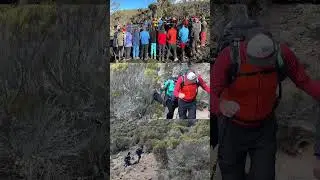 Mount Kilimanjaro Hiking Highlights