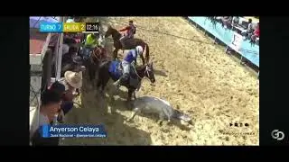 #Repost @lacoleadatv ——que buen ganado y que espectáculo estamos presenciando de parte 
