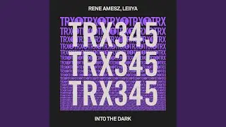 Into The Dark (Extended Mix)