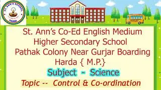 Topic :-- Control & Co-ordination { SCIENCE } by Prabhat Sir. St. Ann's School,Harda.