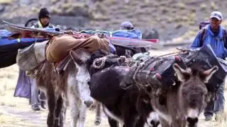 Extreme Trailers- Into The Mind by Sherpas Cinema