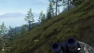 Way of the Hunter 5 STAR # 896 GRAY WOLF on ELKCREST tough hunt!