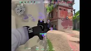 valorant  36yearold  venom  he60  endgame  gear  op18k