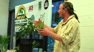 Ryan's Amazing Way to Open a Pineapple (w/o Cutting it)