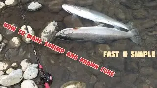HOW TO CURE SALMON AND STEELHEAD BAIT|COON SHRIMP| FAST & SIMPLE