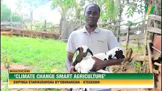 Agacencwire: Empinga etarikushiisha by'obuhangwa - Kyegegwa