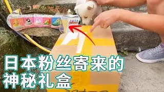 今天收到一个日本粉丝寄来的神秘礼盒，快里一起看看究竟是什么吧，看形状是蛋壳，不会是传说中的奥特蛋吧！！【天下一场梦】